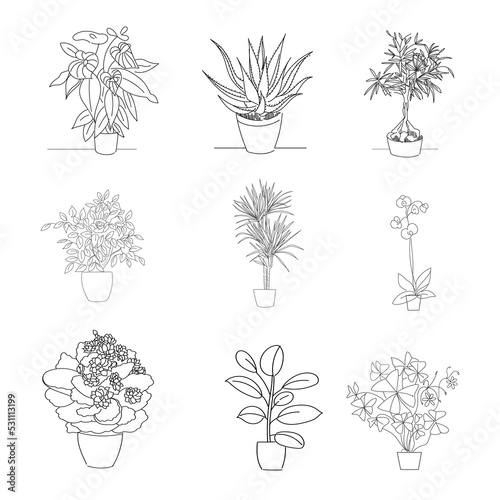 linear sketch set house plants