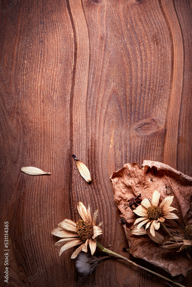 Fototapeta premium Dried Flowers on a wooden background Autumn Still Life