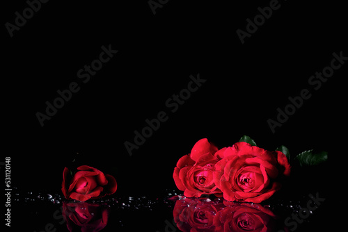 Fototapeta Naklejka Na Ścianę i Meble -  Red roses on a black background.