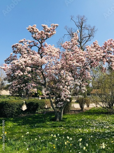 Printemps