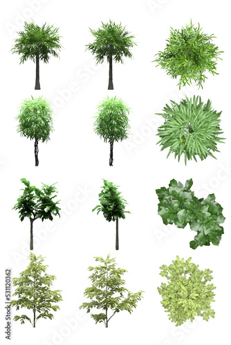 Pack of PNG vegetation.  6K. Tropical Bushes. Made from 3D model for compositing