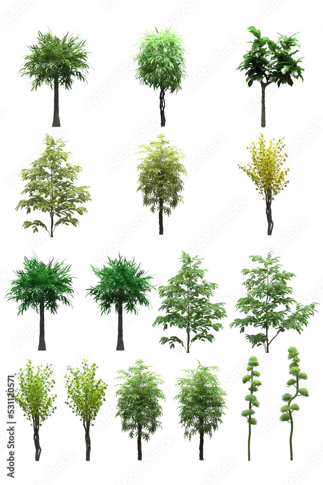 Fototapeta premium Pack of PNG vegetation. +6K. Tropical Bushes. Made from 3D model for compositing