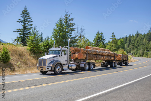 Day cab bonnet powerful big rig semi truck transporting trees logs on two semi trailers driving on the turning road with green forest hills