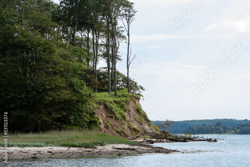 Beach with cliff and trees