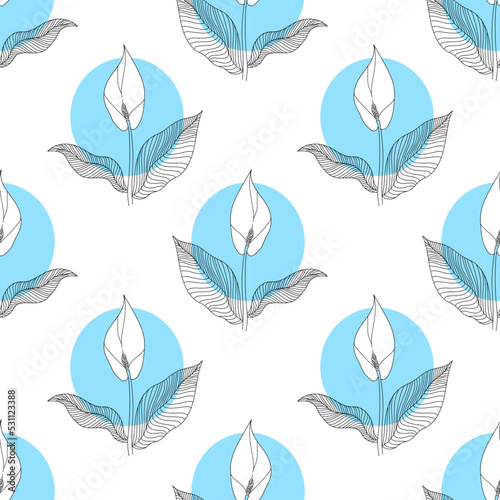 vector illustration seamless pattern plant Spathiphyllum lily hand line contour on a white background