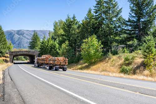 Logging big rig semi truck transporting logs on two semi trailers driving on the road under small arched bridge