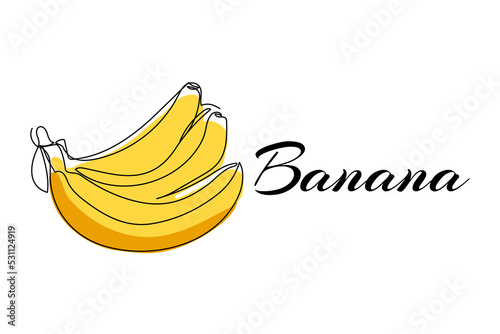 Continuous one line drawing of banana. Vector illustration on isolated background.