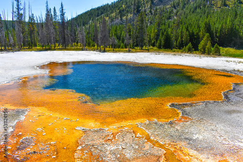 Vibrant Color Yellowstone Hot Water Pool At Bright Sunny Day