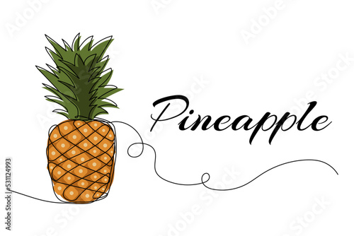 Continuous one line drawing of pineapple. Vector illustration on isolated background.