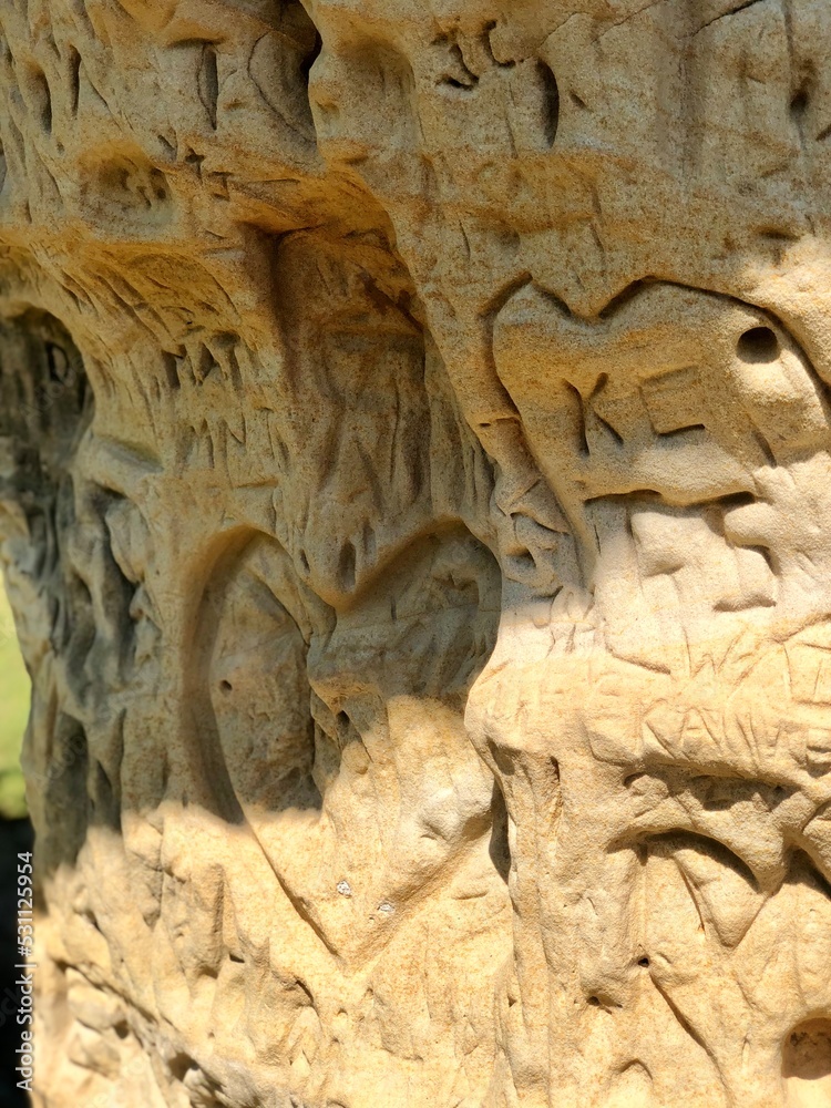 Obraz premium detail of a stone carving