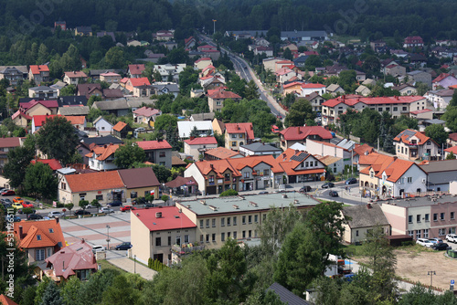 Miasteczko w dolinie z domami o czerwonych dachach w zieleni. 