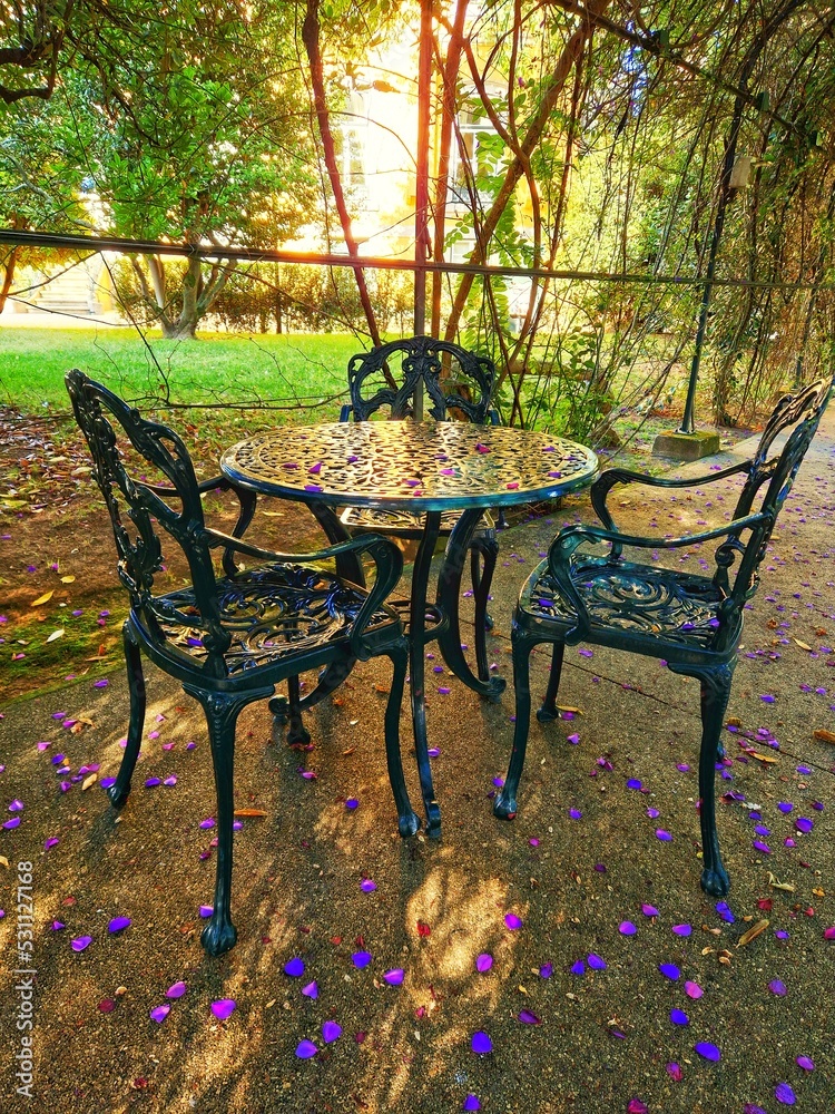 bench in the garden bench in the garden