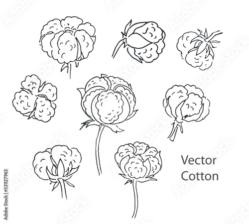 Cotton hand drawn flowers