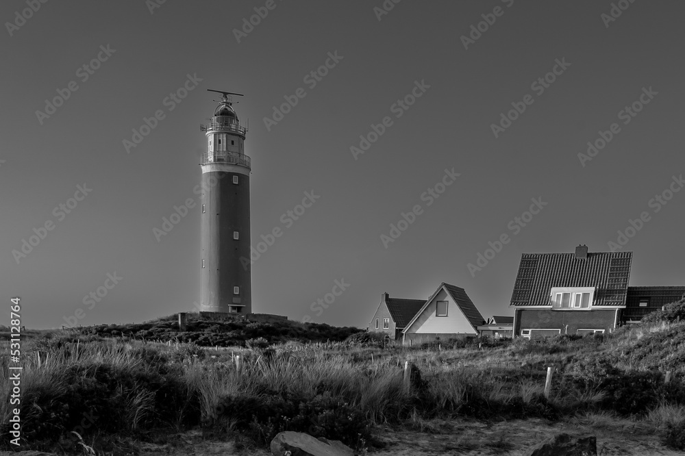 Texel