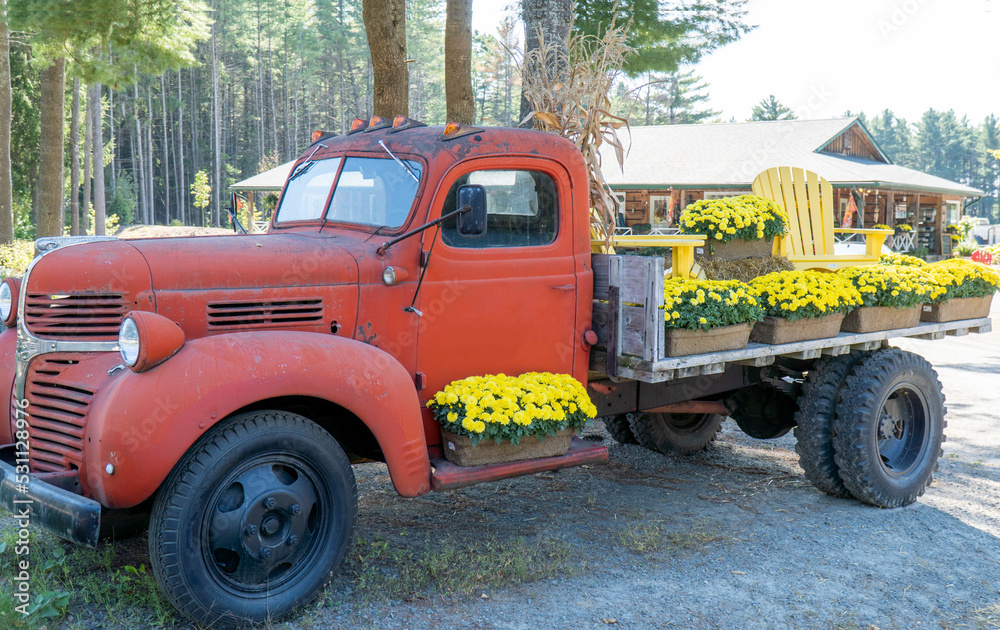 Old red flatbed truck decorated with flowers and chairs in Cottage Country, Ontario