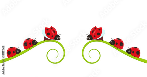 Ladybug on leaf. wallpaper. free space for text. background. symbol. ladybug on white background.