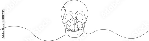 Continuous thin line human skull, minimalist cranium sketch doodle. One line art scull icon or logo. Vector illustration.