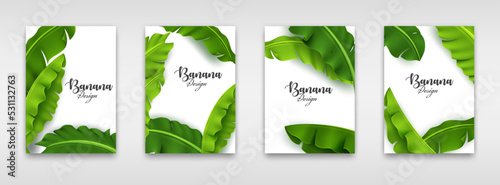 Banana Leaves Invitation, Green Tropical Leaf template, Wedding invitation, Graphic Brochure. Vector Illustration