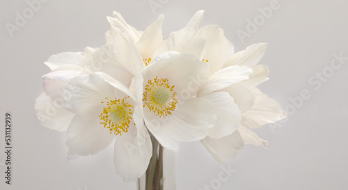 A bouquet of white narcissus flowers on a white background.
