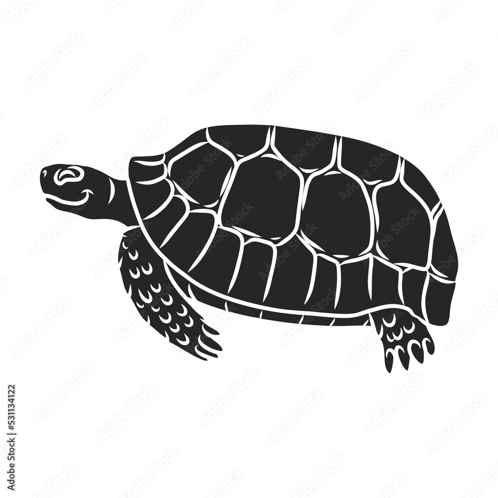Fototapeta premium Turtle vector icon.Black vector icon isolated on white background turtle.