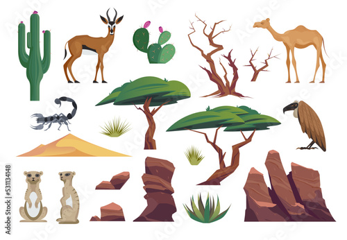 Desert Animals Icon Set