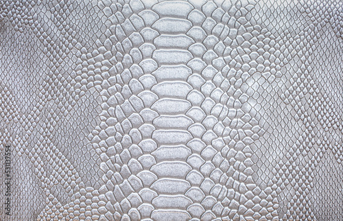 Beautiful white bright python skin  reptile skin texture  snake skin close-up as a background.
