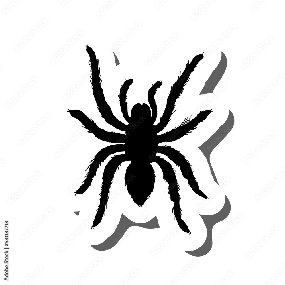 Obraz premium Halloween Spider Sticker