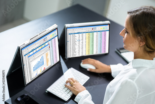 Financial Spreadsheet Analyst Woman Using Software