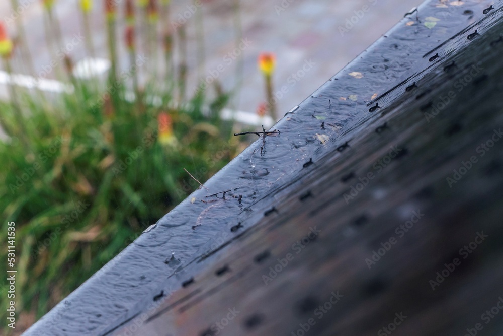 Fototapeta premium A portrait of a roof gutter overflowing with water during a rainy day. The rain water can not be drained, because the gutter is clogged with leaves, twigs and branches of trees and needs to be cleaned