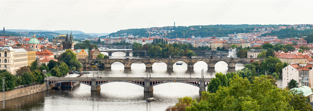 Obraz premium City Surrounded by Greenery with Bridges over the Vltava River, Prague, Czech Republic