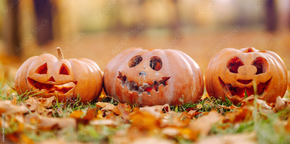 Set of orange pumpkins for halloween. Holidays, decoration concept. Set of orange pumpkins for halloween. Holidays, decoration concept.