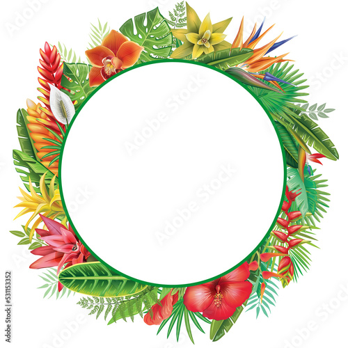 Frame from tropical plants and flowers
