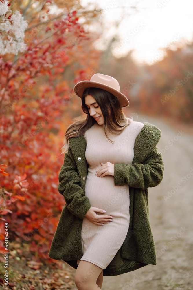 Beautiful pregnant woman feeling lovely and Relax in the park. Motherhood. Maternity. Autumn season. Beautiful pregnant woman feeling lovely and Relax in the park. Motherhood. Maternity. Autumn season.