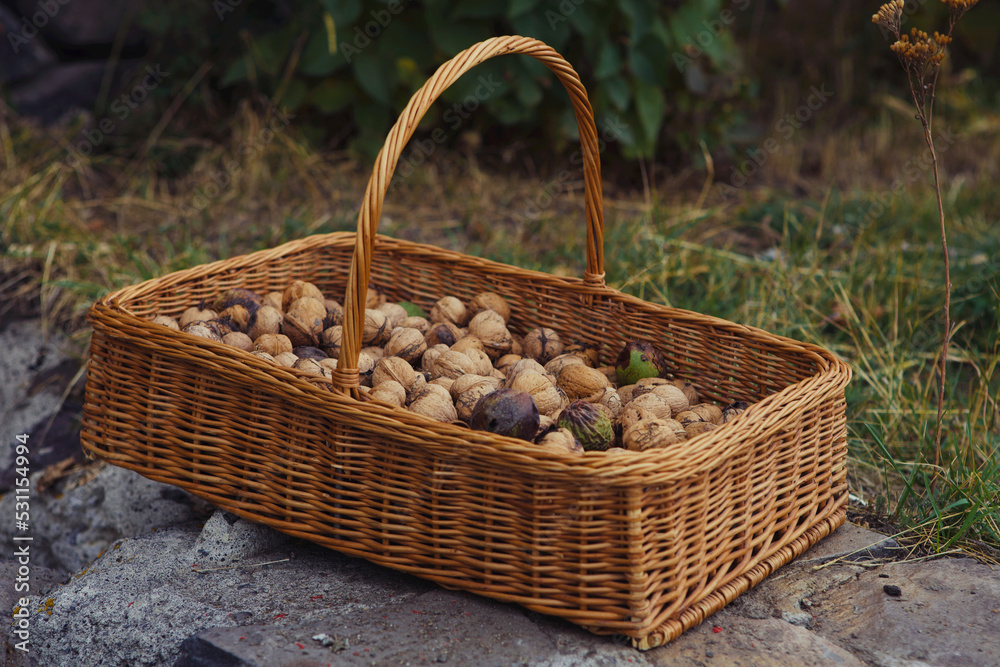 walnuts in a basket