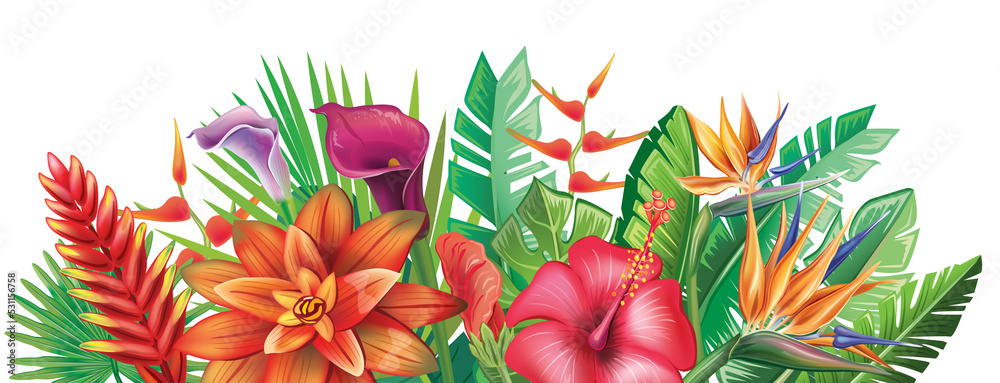 Arrangement from tropical flowers Arrangement from tropical flowers