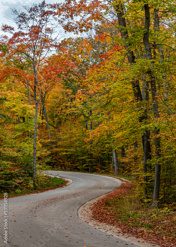 661-17 Cottage Row Autumn S Curve