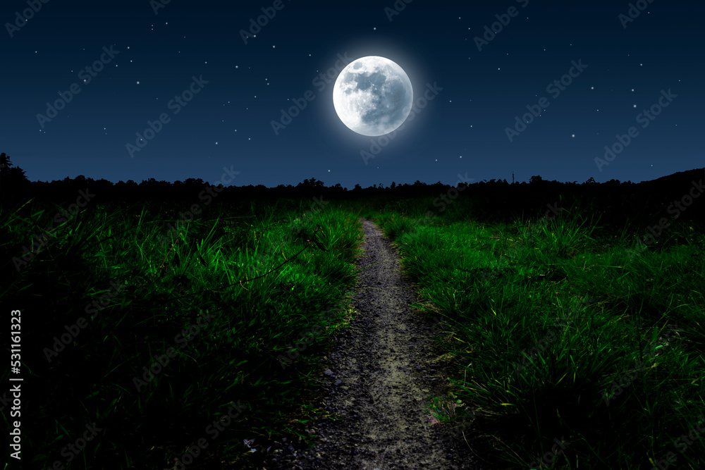 Fototapeta premium Full moon over grassland with footpath.