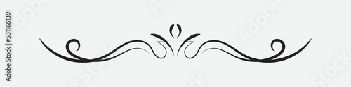 text delimiter for your projects. text divider. vintage border. Vector illustration.