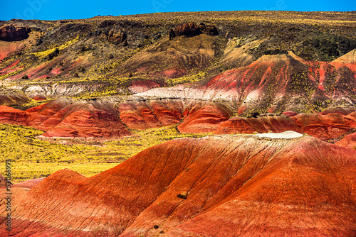 Lacey Point Lava Flows and Red Buttes at Painted Desert NP near Holbrook Arizona