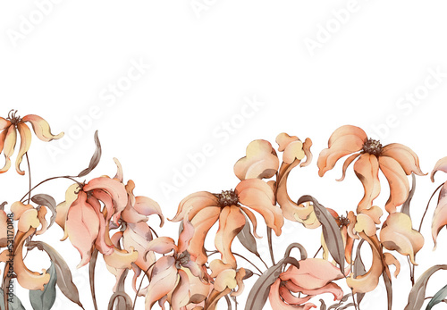 Border of dry flowers
