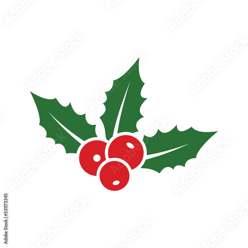 holly icon vector design template in white background