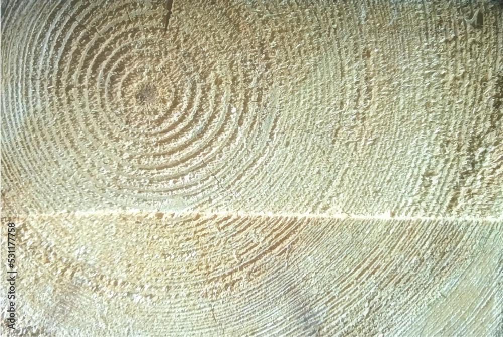 Naklejka premium background with circles of wood trunk vector background