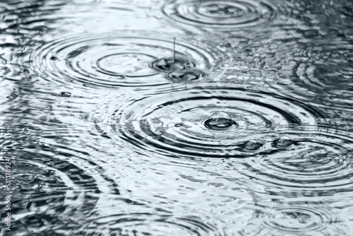 raindrops falling into a puddle. circles on water surface.