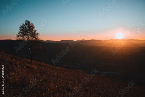 Morning in the Carpathian mountain. Autumn foggy landscape with the sun and tree
