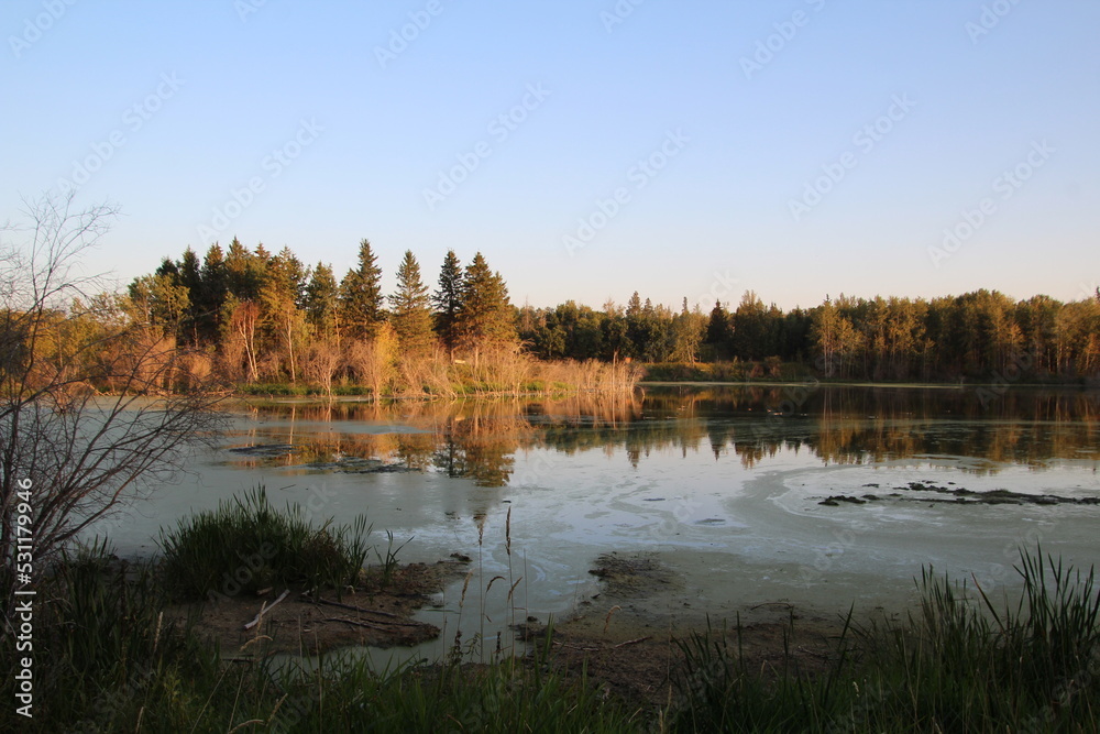 autumn in the forest, Elk Island National Park, Alberta