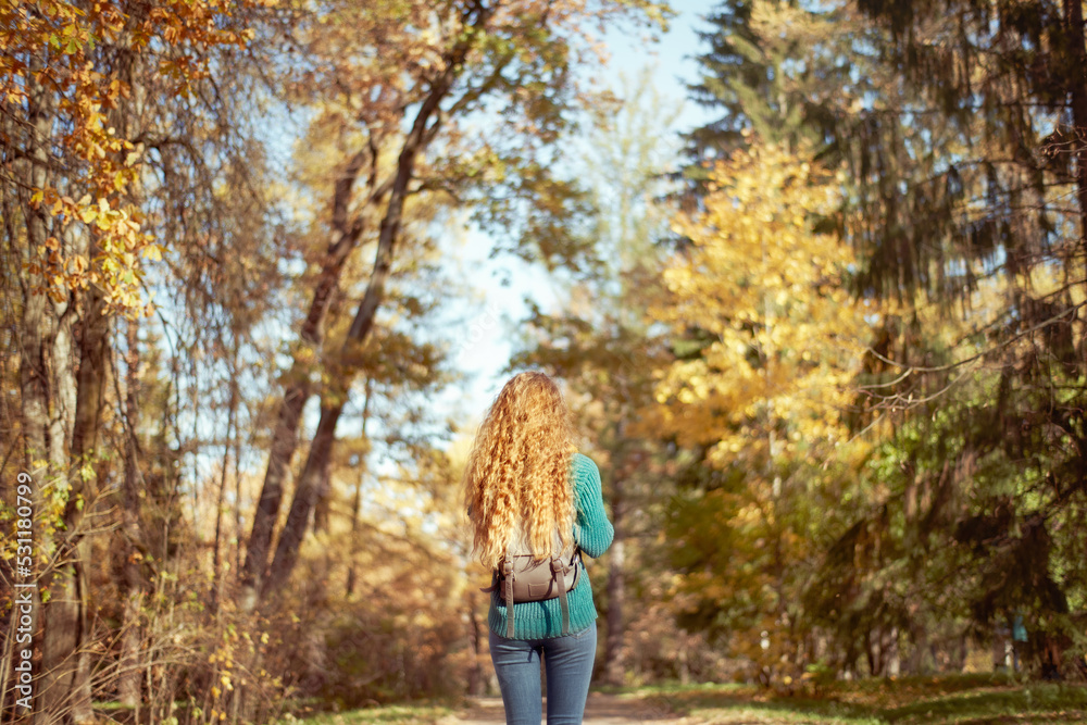 A young red-haired woman walks through the autumn park. A girl with lush curly hair looks at the autumn forest A young red-haired woman walks through the autumn park. A girl with lush curly hair looks at the autumn forest
