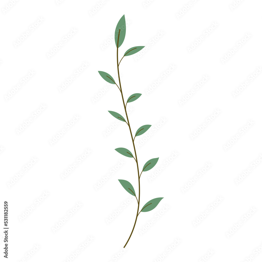 Obraz premium minimal leaf element
