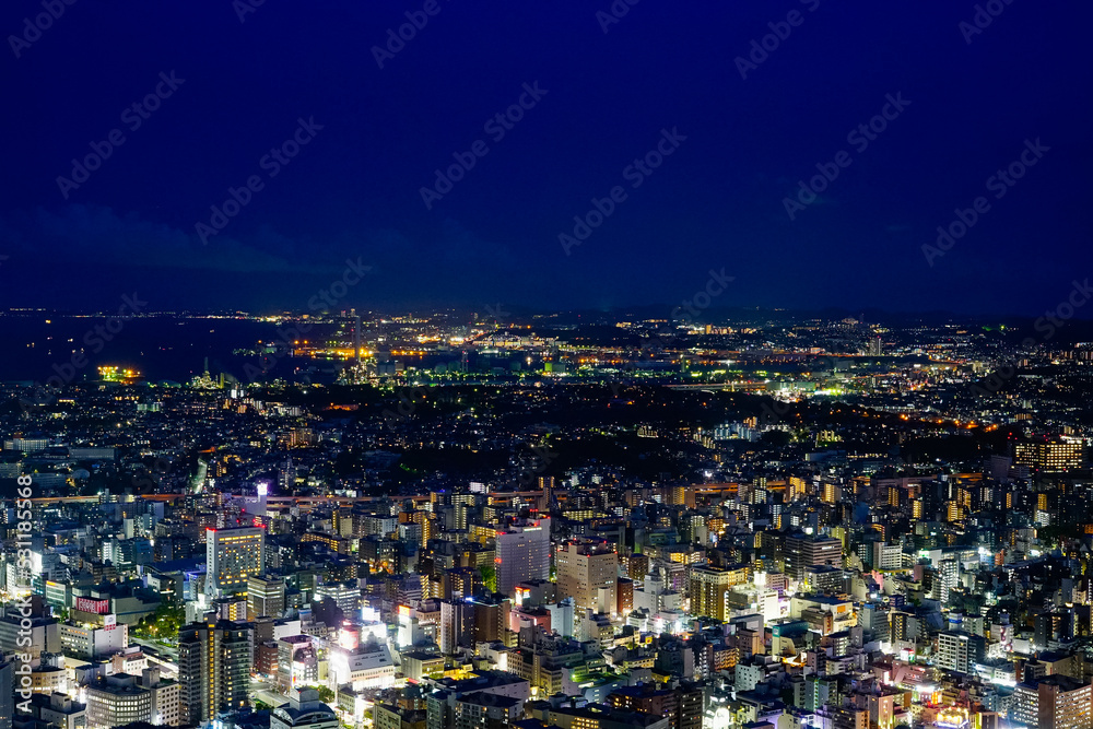Obraz premium 東京の夜景