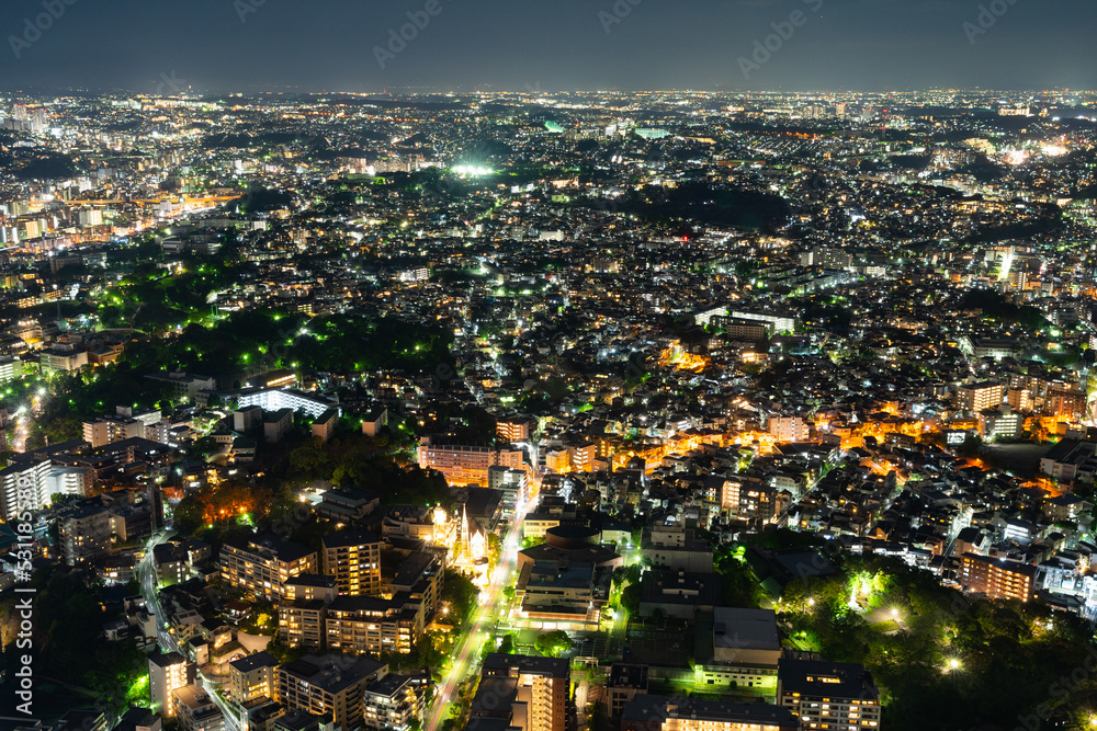 Fototapeta premium 東京の夜景