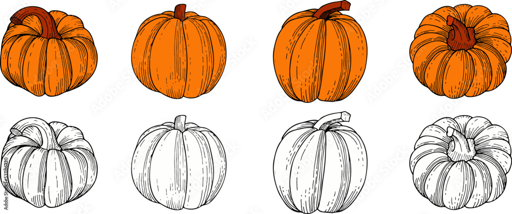 Hand drawn set of pumpkins. Vector illustration, doodle style.